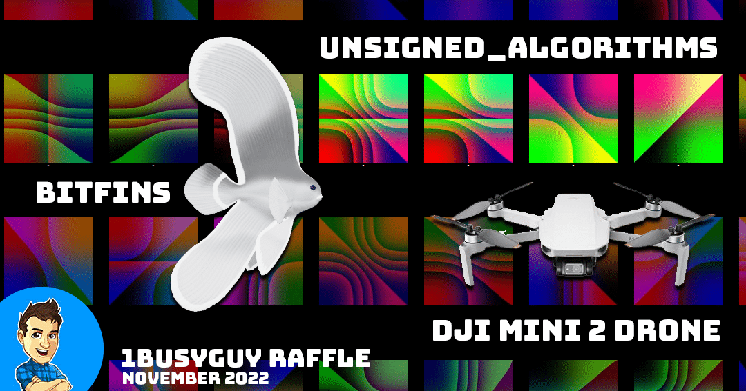 Win Grand Prize a DJI Mini 2 Drone & BitFins NFTs