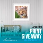 Ken Duncan Gallery Print Giveaway #3 April 2023