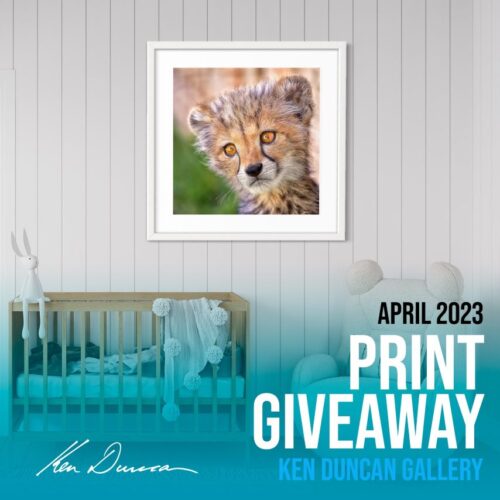 Ken Duncan Gallery Print Giveaway #3 April 2023