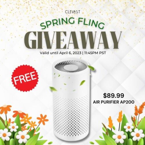 Spring Fling Giveaway from Clevast